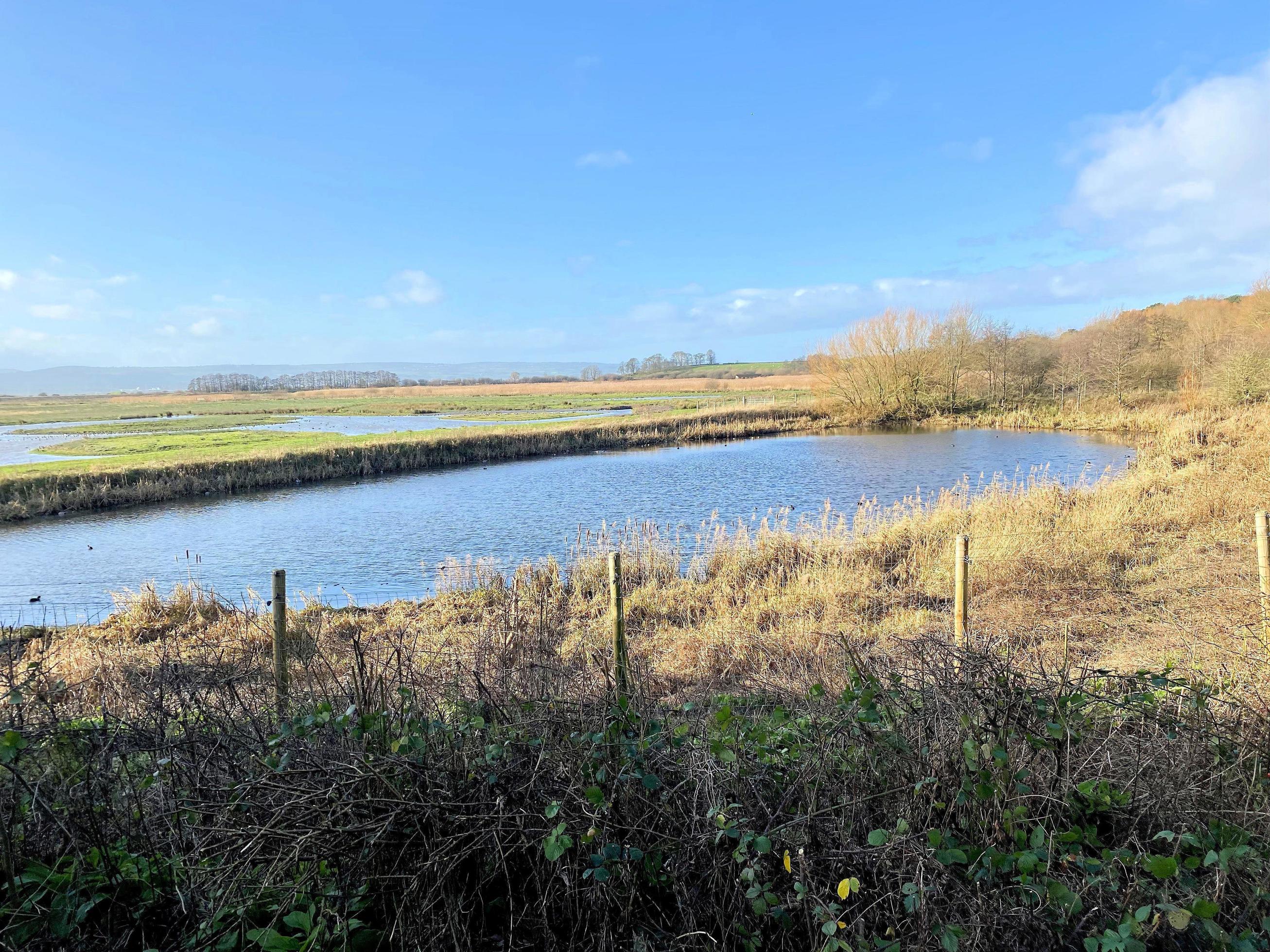 A view of Burton Mere Wetlands Nature Reserve Stock Free