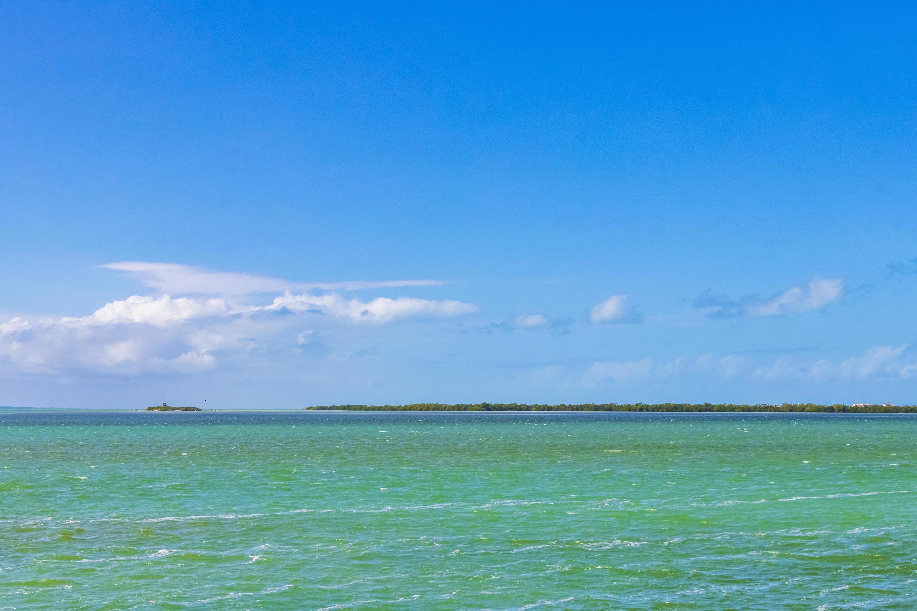 Panorama landscape view Holbox island nature sandbank turquoise water Mexico. Stock Free