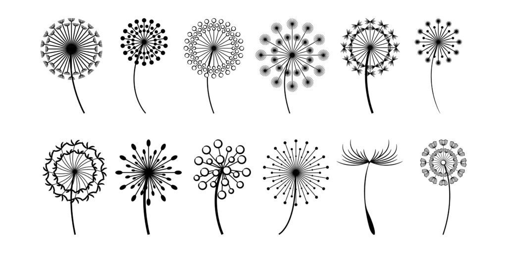 Dandelion collection in black Stock Free