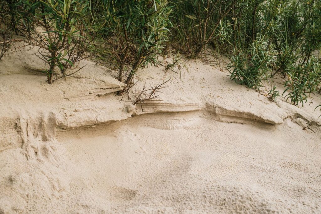 Serenity by the Sea: Coastal Landscapes and Beach Textures Stock Free