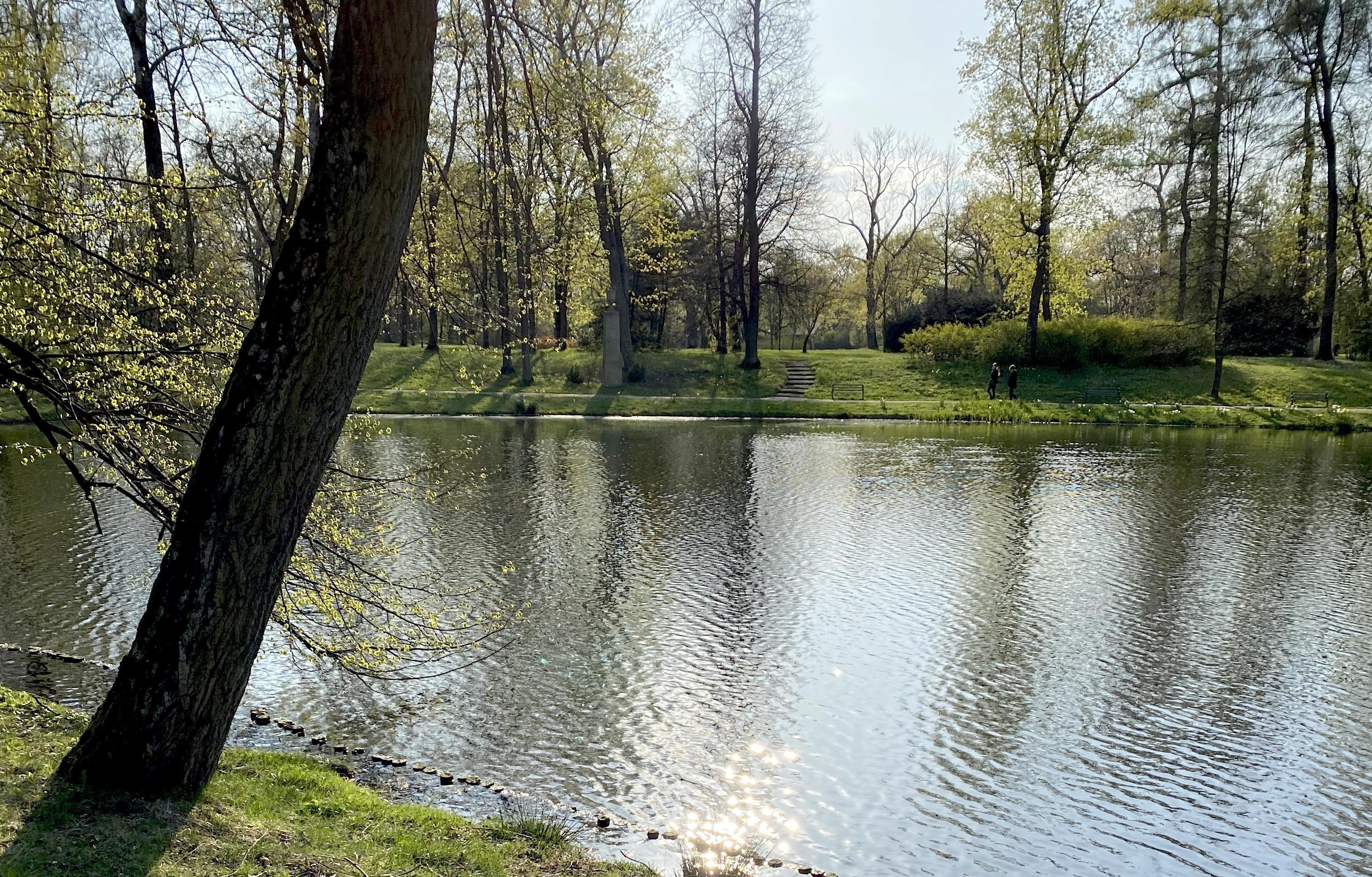 Smaller lake in the park. Lots of greenery and trees. Nature Stock Free