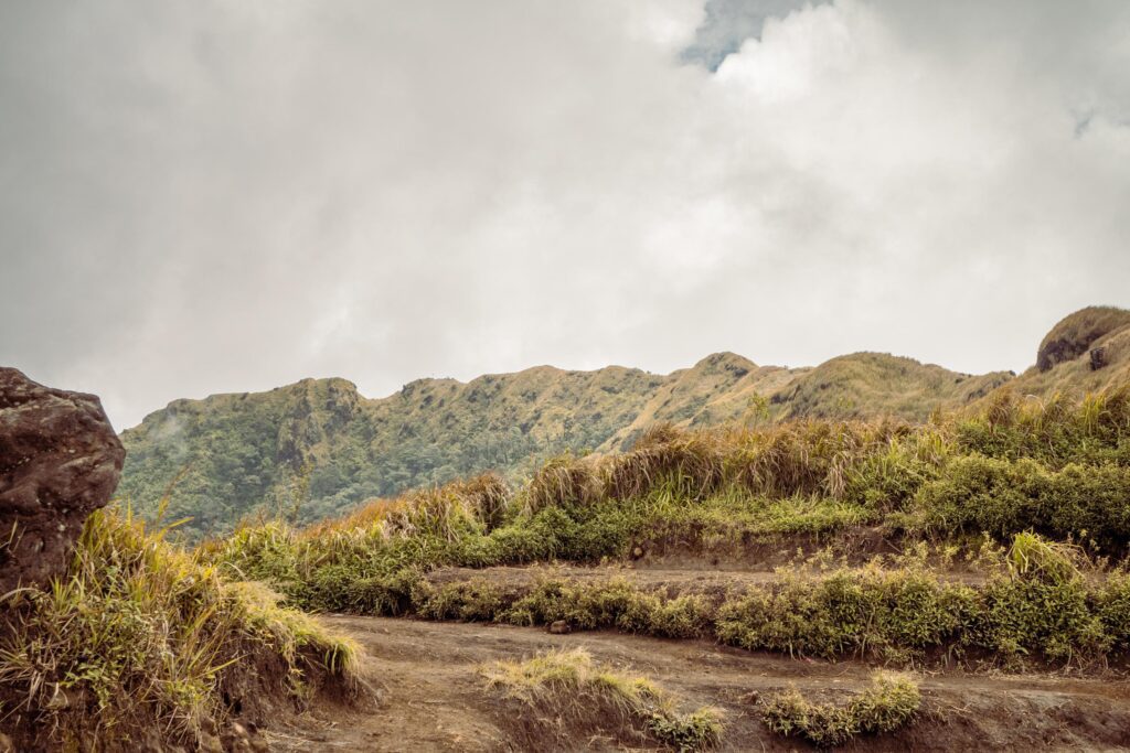 The way going to peak mountain, with Savana and foggy vibes. The photo is suitable to use for adventure content media, nature poster and forest background. Stock Free