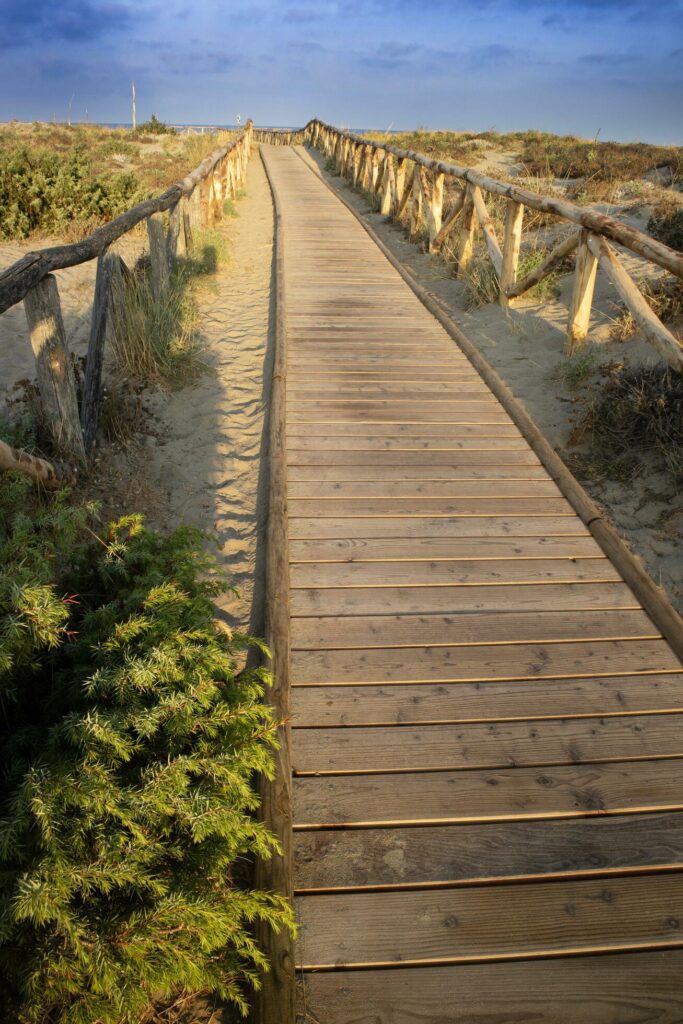 Walkway leading to the sea in the natural park of Viareggio Italy Stock Free