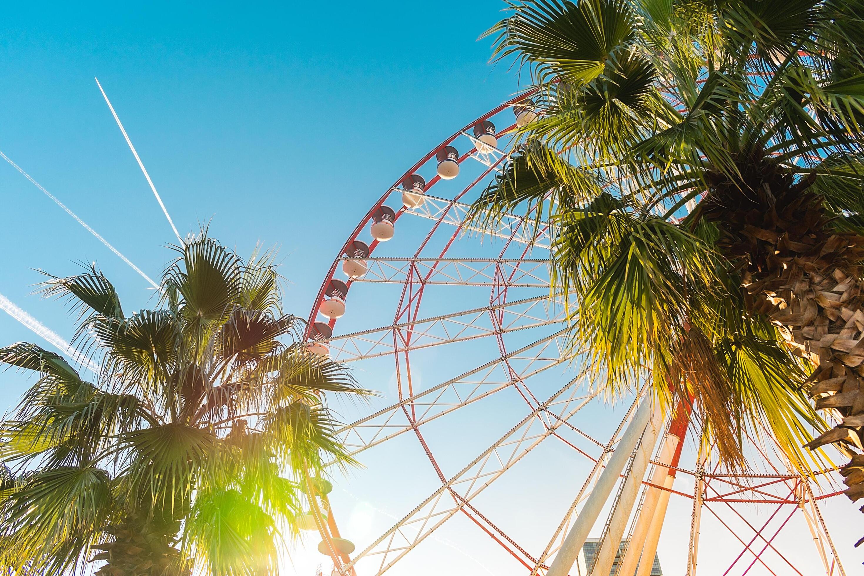 View of the Ferris wheel attraction against a background of blue sky between palm trees. Ferris wheel in the Georgian city of Batumi. Stock Free