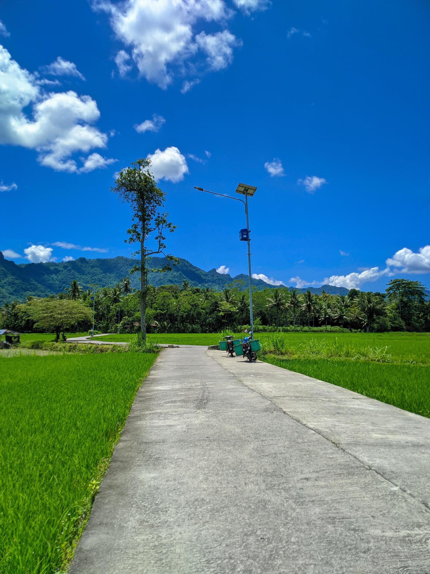 natural scenery in the village during the day. the beauty of the tourist spot route Stock Free