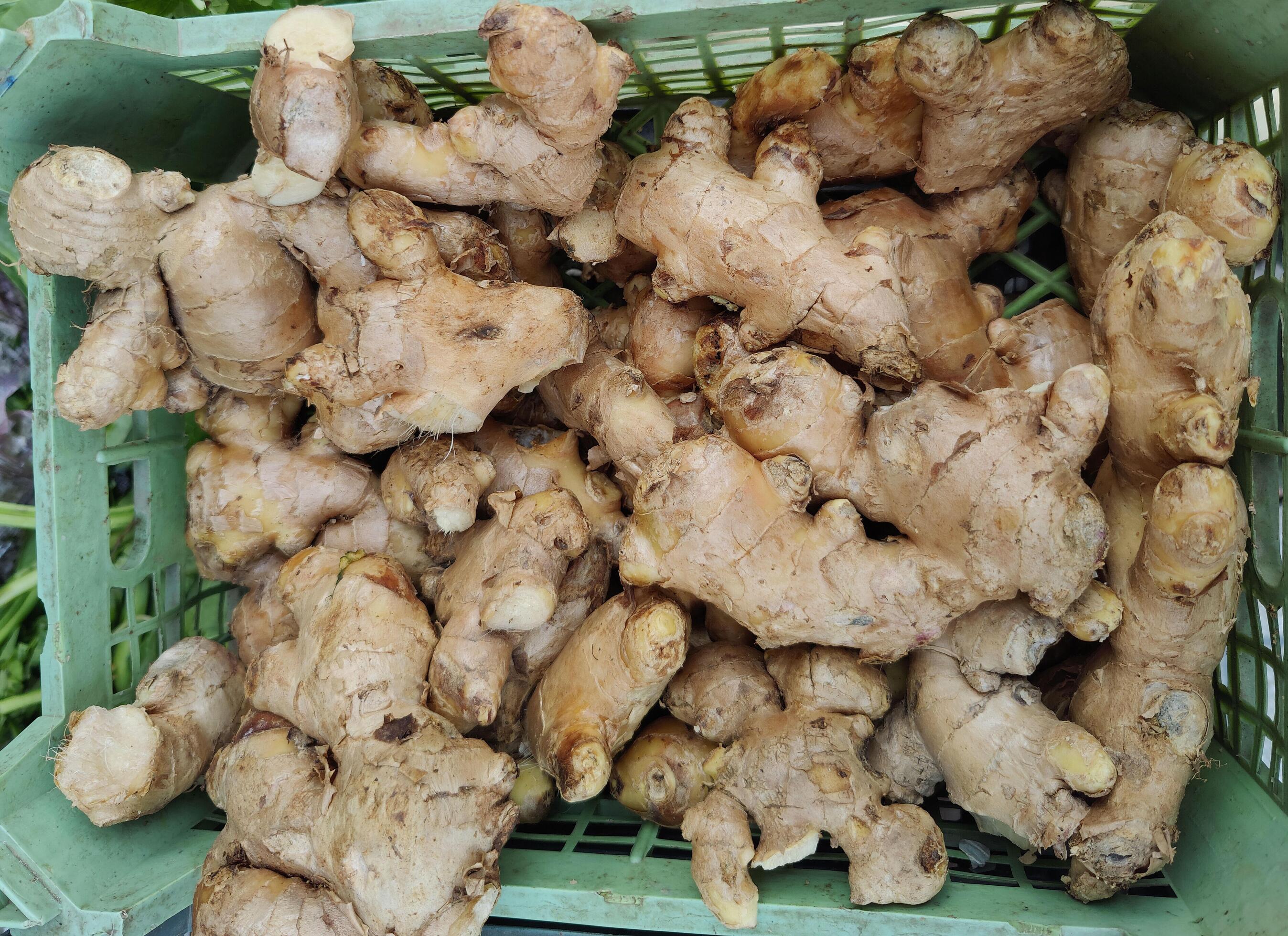 Close up of fresh ginger background. Stock Free