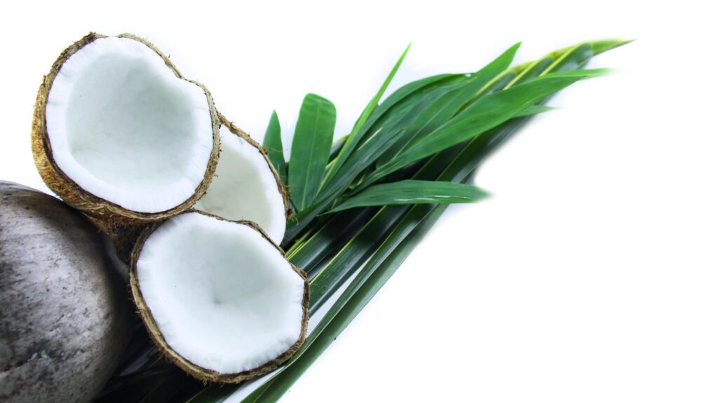 A close-up photograph of a mature and open coconuts isolated on a white background. Stock Free