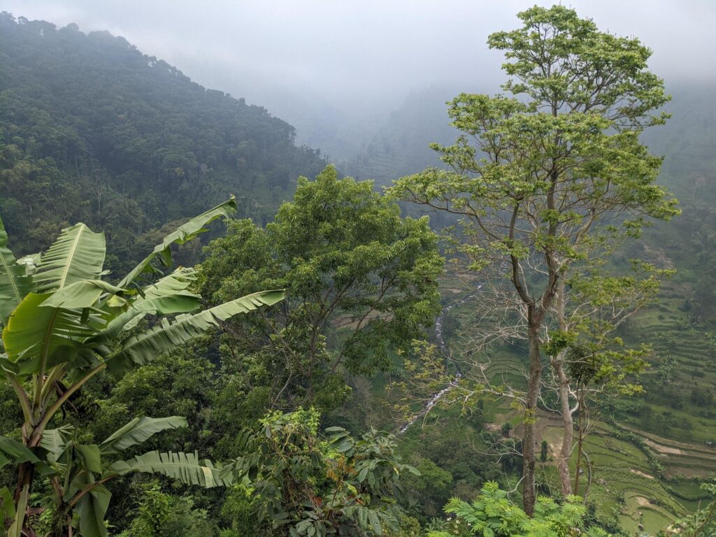 Landscape photo of mountain with fogging forest and cloudy sky. The photo is suitable to use for climate changes poster and nature background. Stock Free