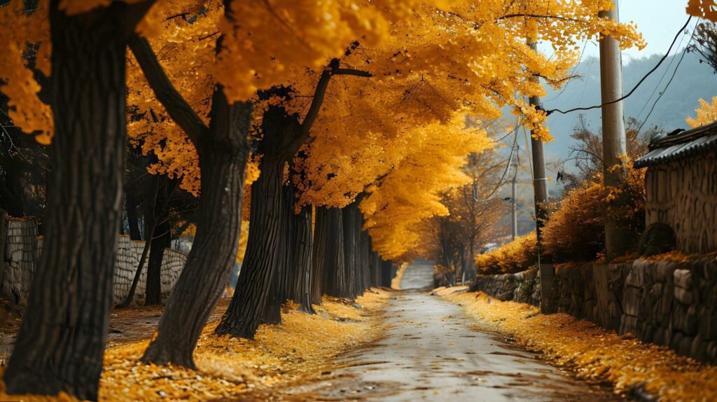 Quiet Autumn Road Flanked by Golden Trees Free Photo