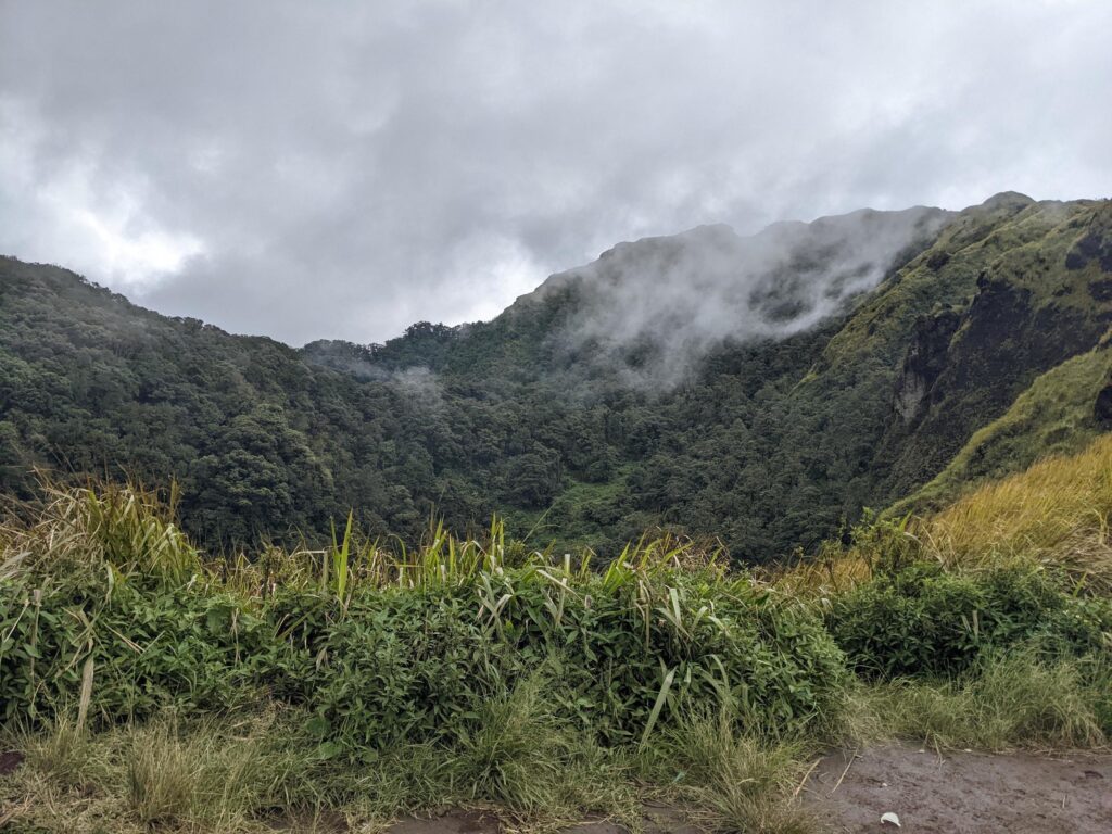 The way going to peak mountain, with Savana and foggy vibes. The photo is suitable to use for adventure content media, nature poster and forest background. Stock Free