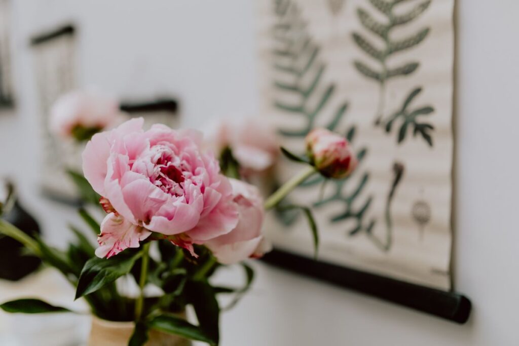 Peony flowers in vase Stock Free