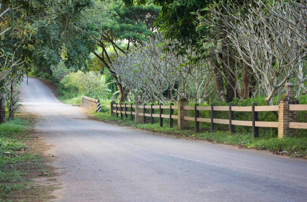 roadway natural with tree at countryside. in thailand Stock Free