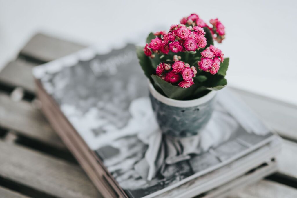 Little pink flowers in a pot with various items Stock Free