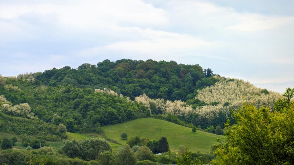 Beautiful landscape scenery, forest and nature background, green hillside at Klenice, Croatia, Hrvatsko Zagorje Stock Free