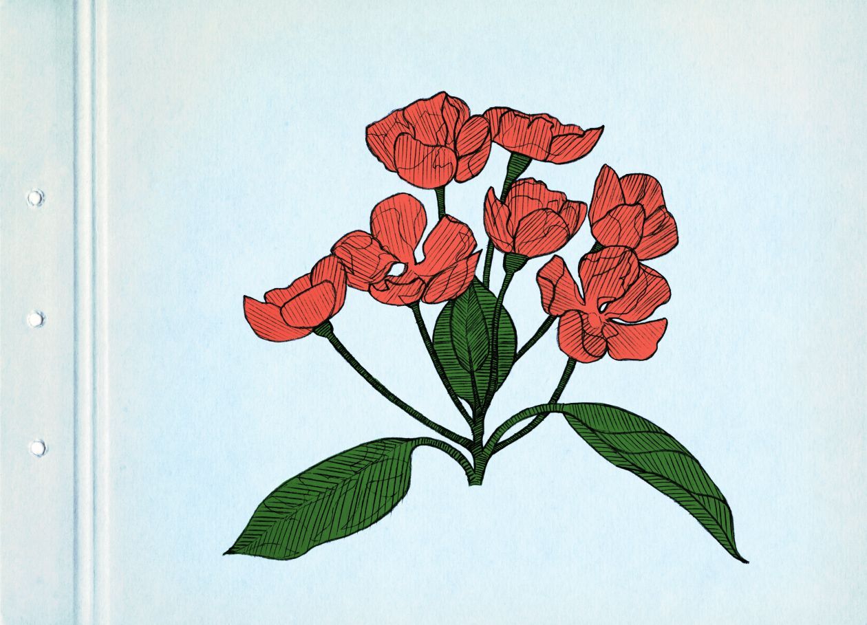 Red spring flowers. Drawing on blue cardboard. Vintage picture. Stock Free