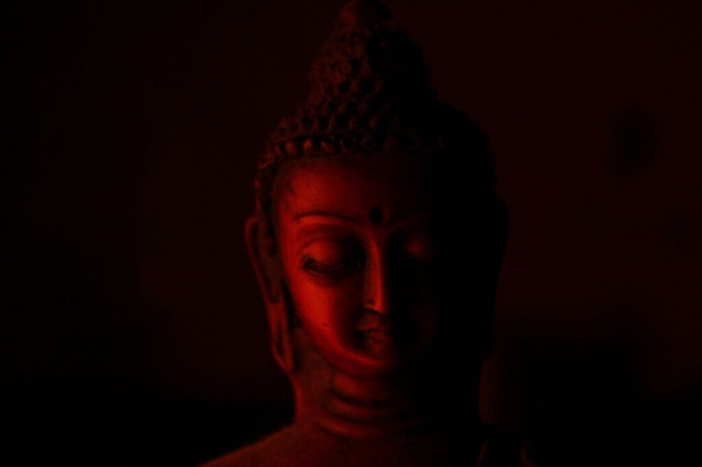 Buddha Serene Stock Free