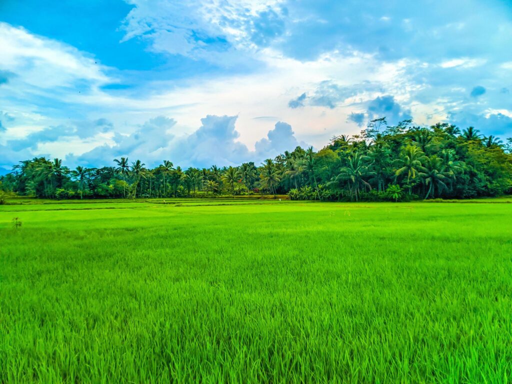 Peaceful village view. Huge farmland in the middle of a vast landscape. Stock Free