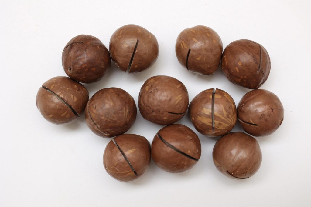 Macadamia nuts seeds background Stock Free