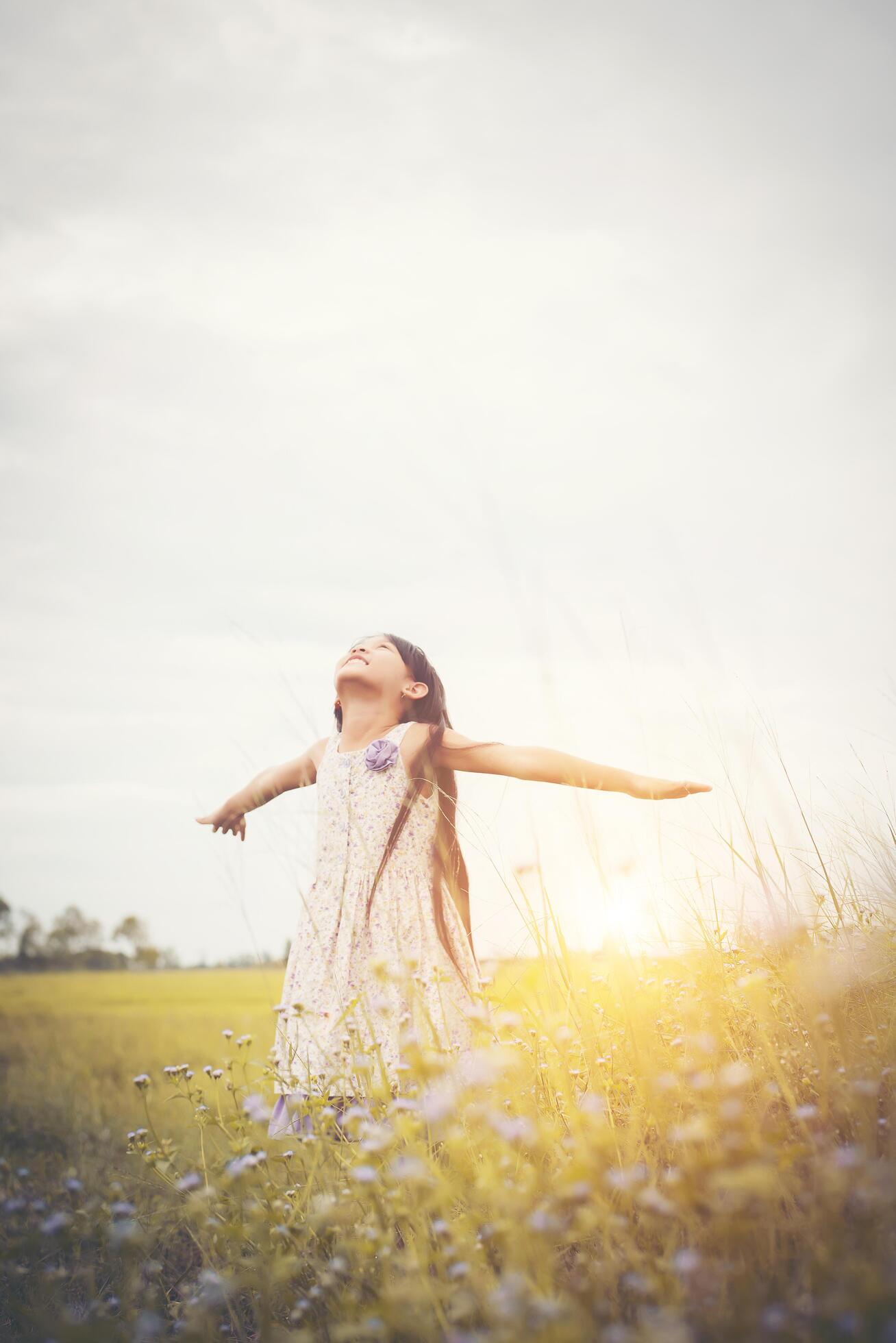 Little cute asian girl standing among the purple flower field sunshine day. Freedom enjoying with nature. Stock Free