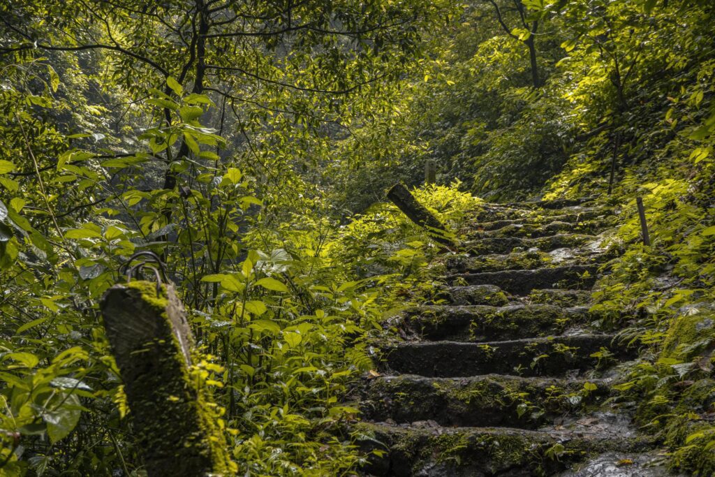 The way going to water fall on the rain forest. The photo is suitable to use for adventure content media, nature poster and forest background. Stock Free