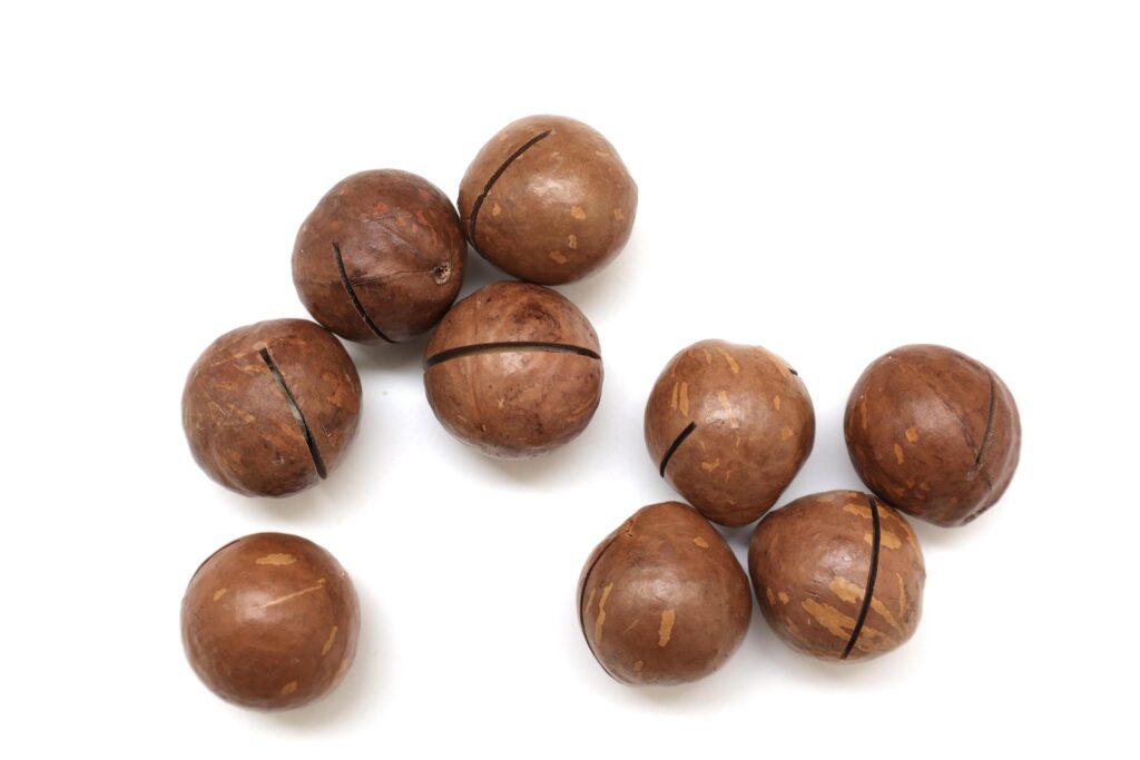 Macadamia nuts seeds background Stock Free