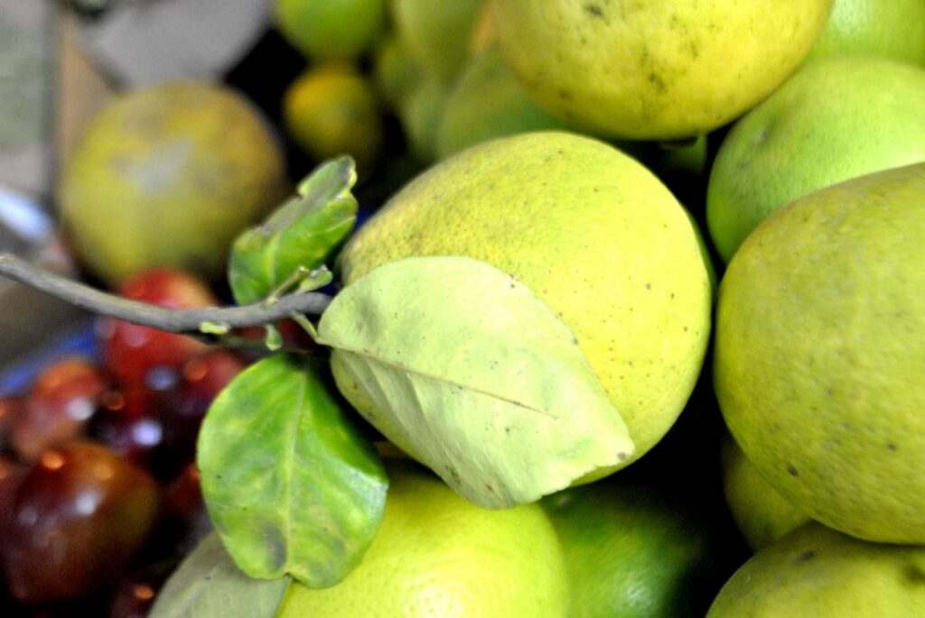 Pear Fruit Seller Stock Free