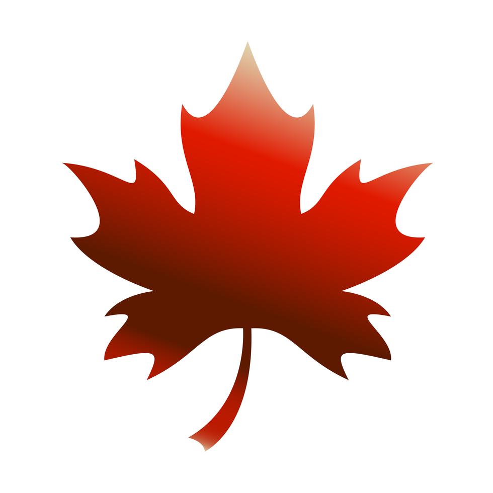 Autumn Maple Leaf vector logo Stock Free