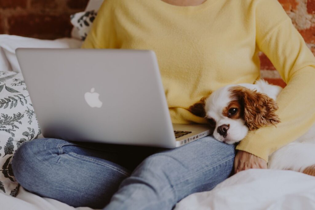 A woman in a yellow sweater with a sweet dog uses a laptop Stock Free