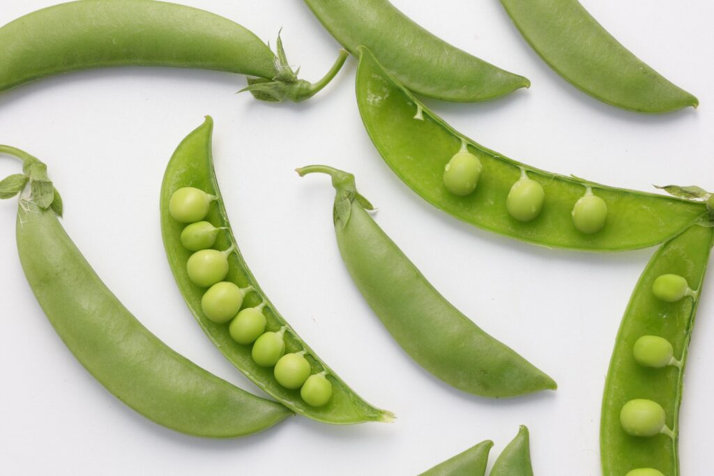 Pea on white background Stock Free