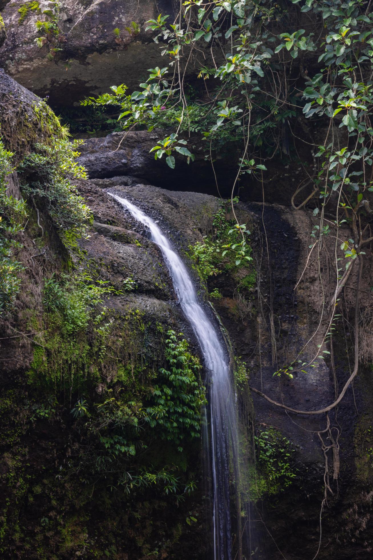 A natural waterfall in a big forest in the midst of beautiful nature. Stock Free