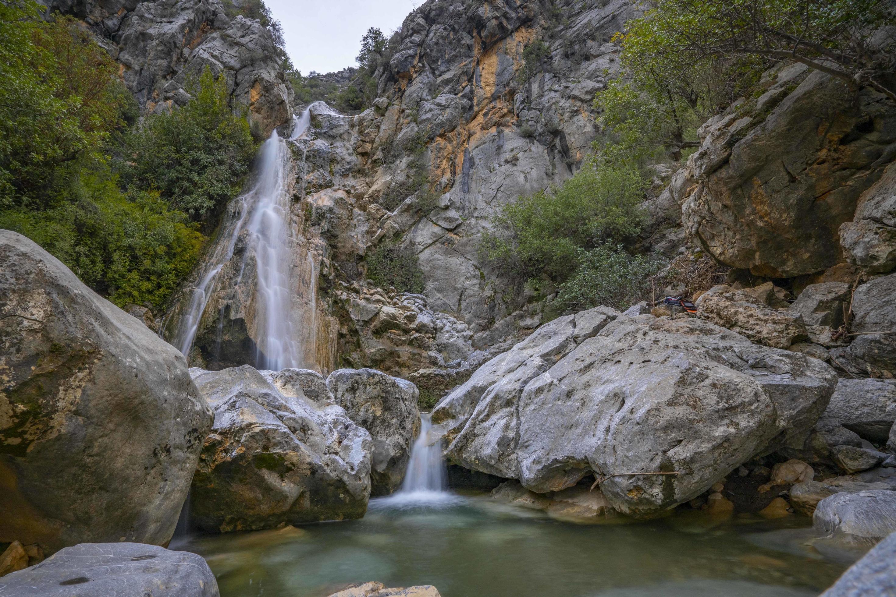 Mountain river stream waterfall green forest Landscape nature plant tree rainforest jungle Stock Free