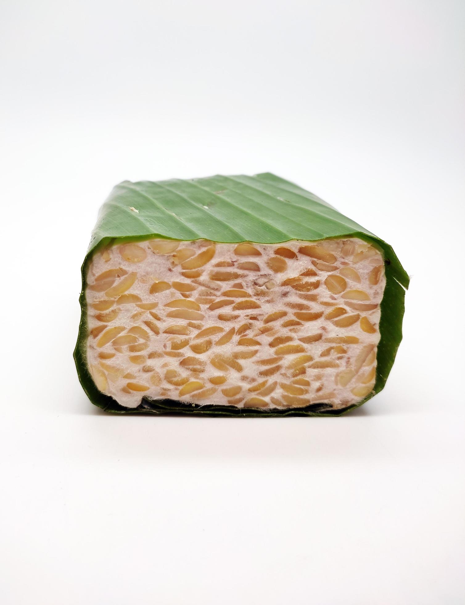 Raw Tempeh or Tempe, Indonesian traditional food, made from fermented soybeans, On White Background. Stock Free