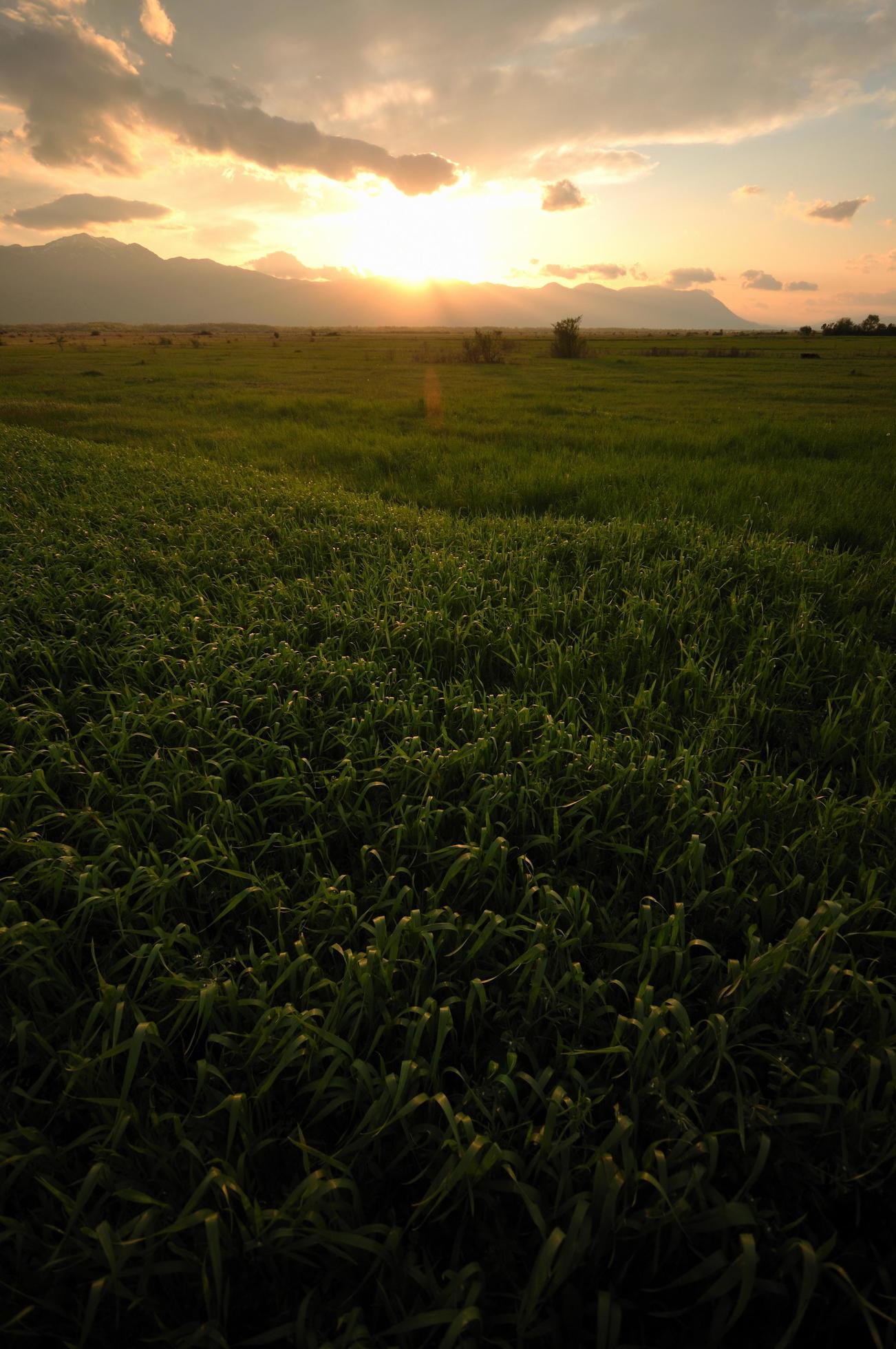 beautiful sunset in nature Stock Free