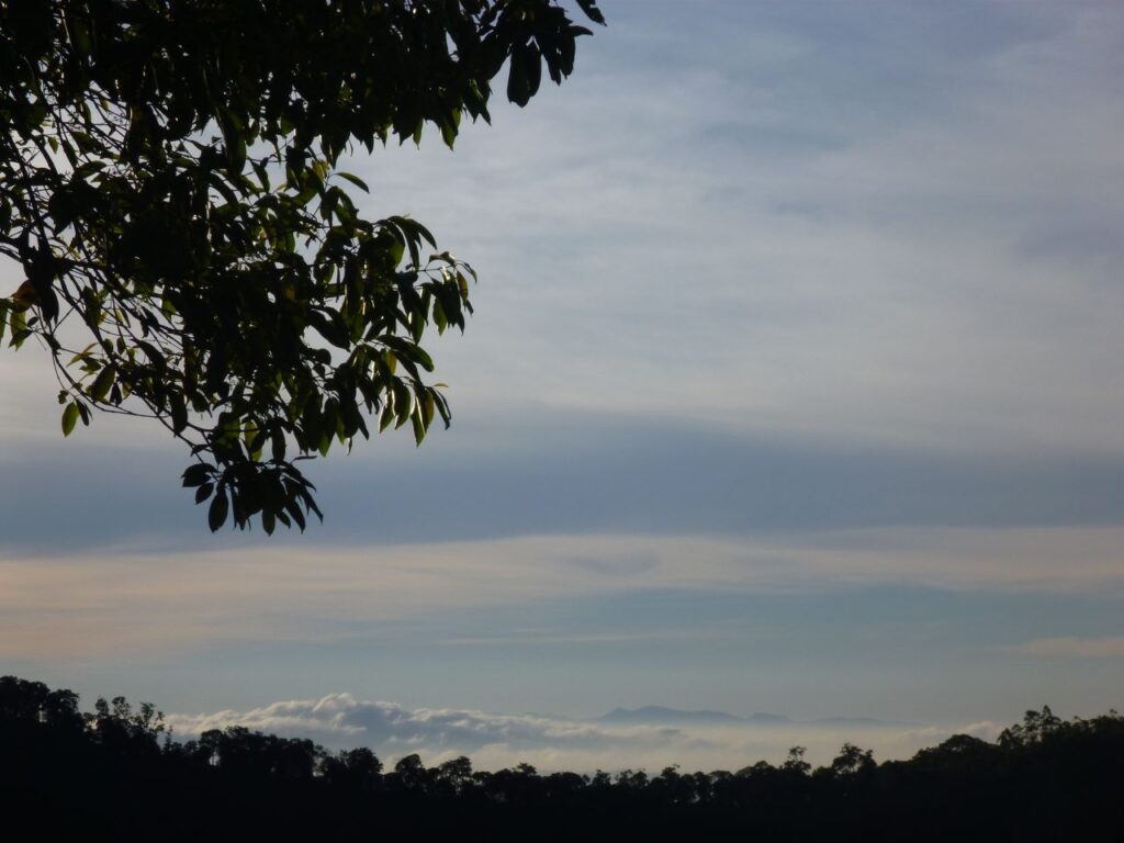 Hilly View Mountains Munnar Kerala Stock Free