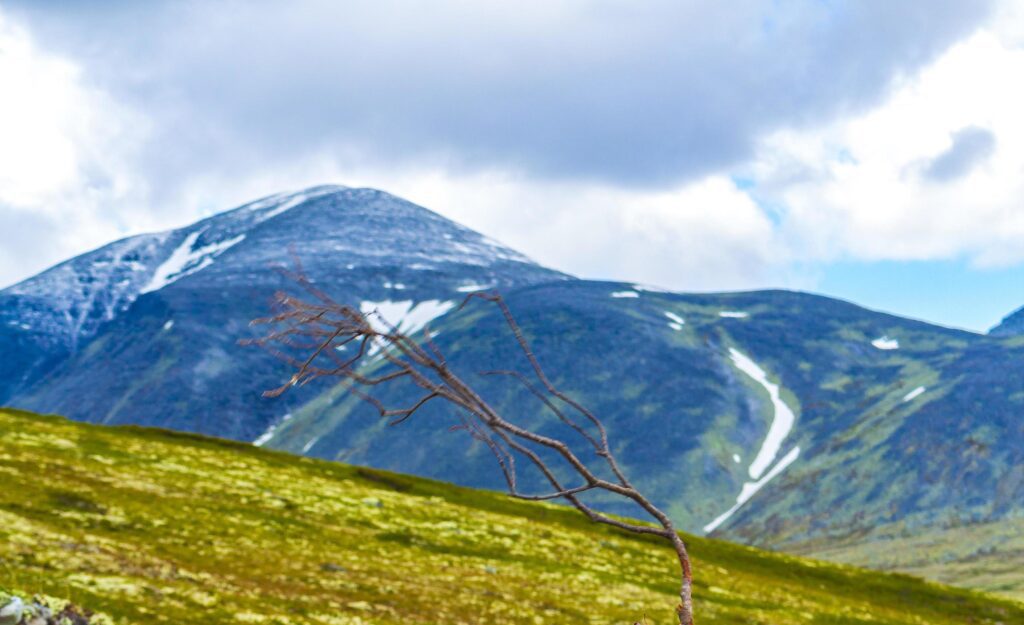 Beautiful mountain and landscape nature panorama Rondane National Park Norway. Stock Free