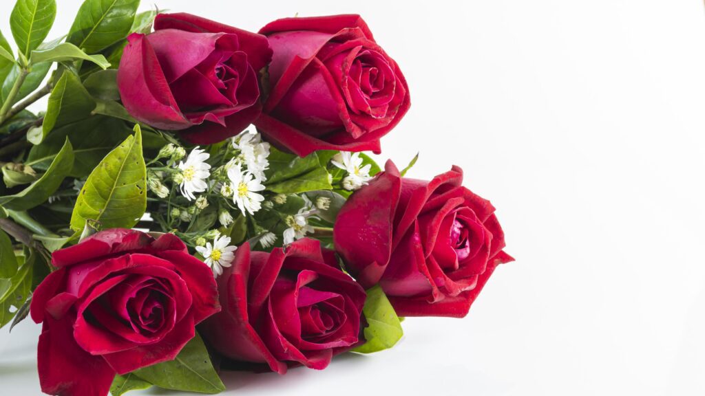 a bouquet of red roses and daisies on a white background Stock Free