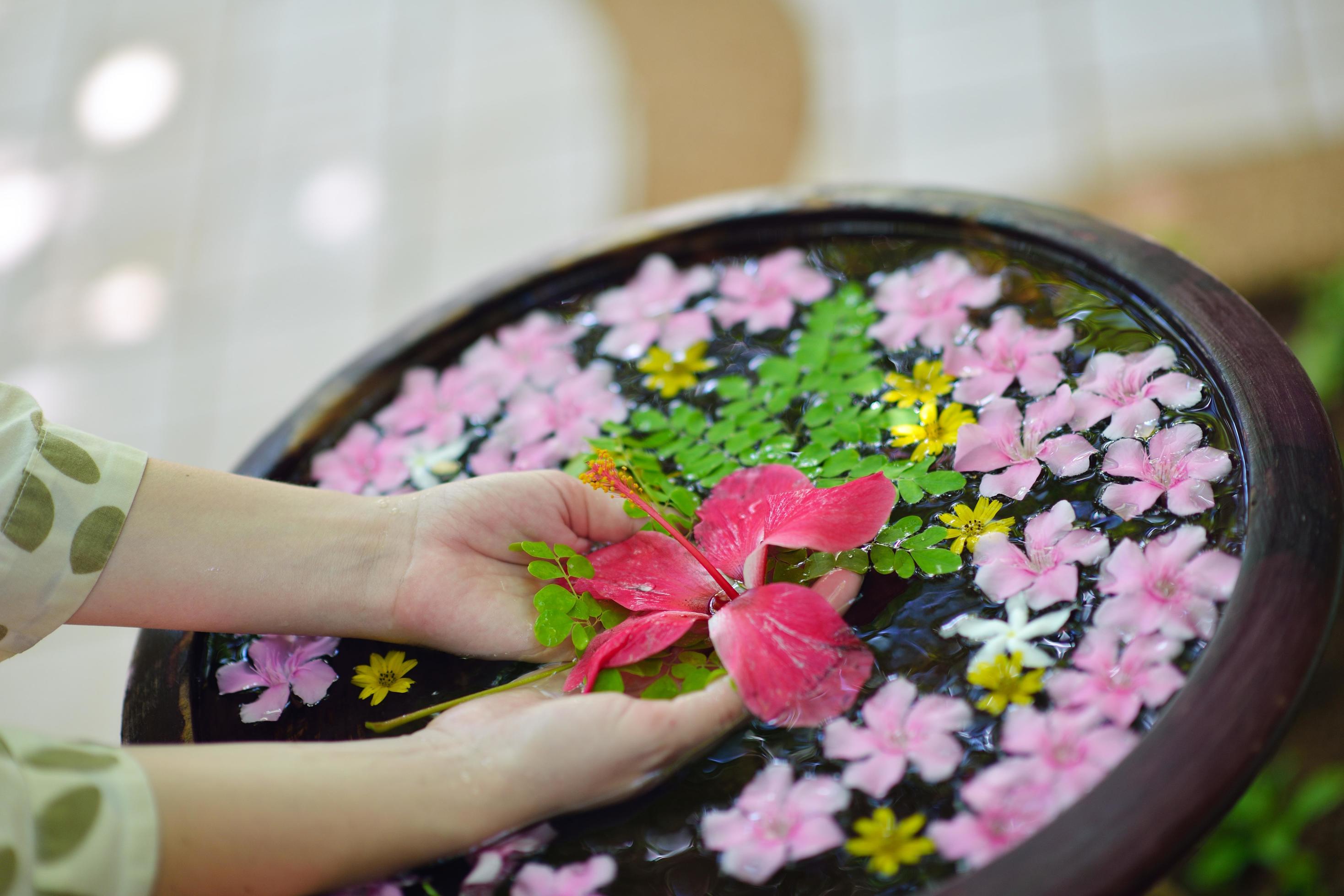 female hand and flower in water Stock Free