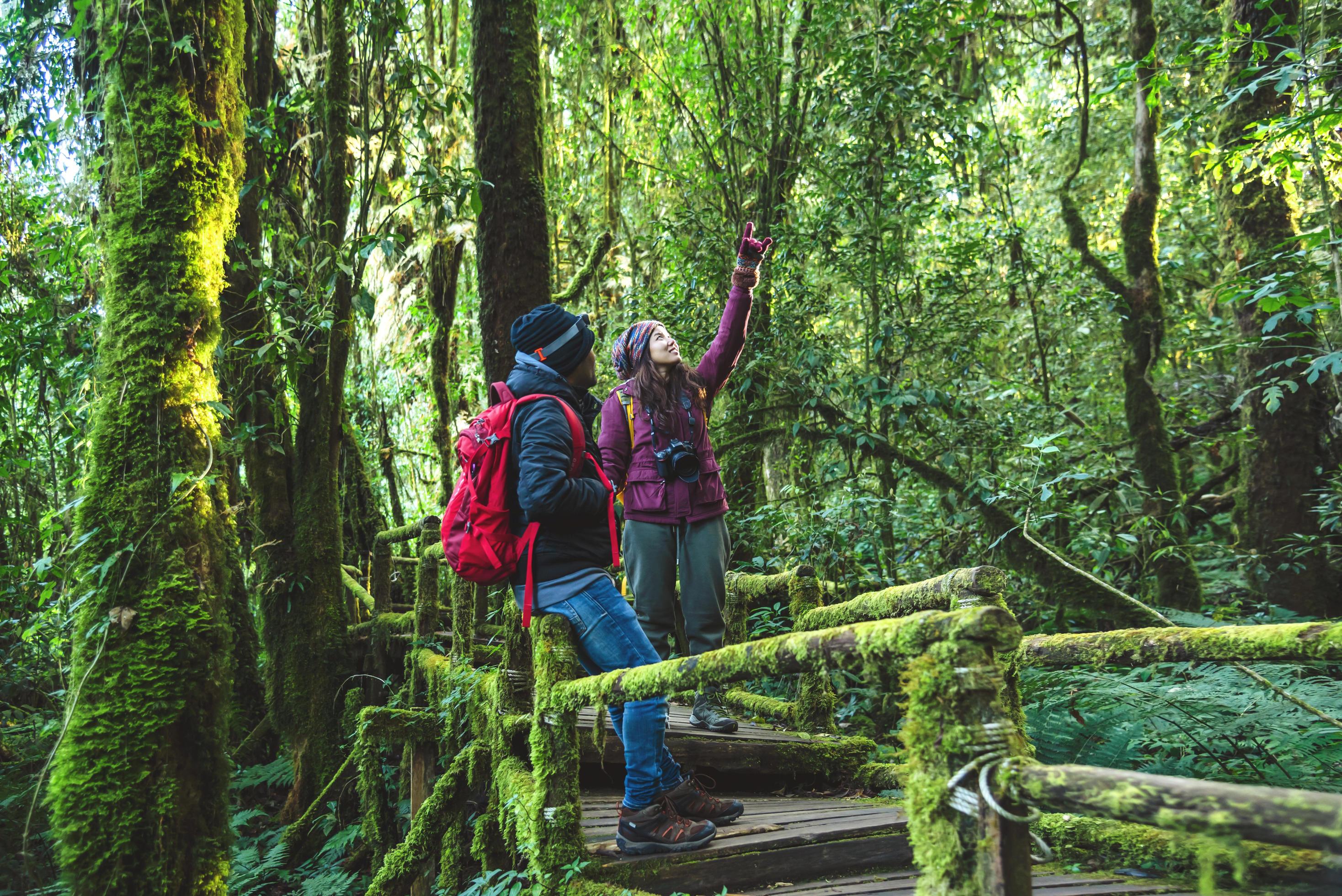 Couples traveling, relax in winter. walking travel to study nature in the rainforest. at the angka, Chiangmai in Thailand. Stock Free