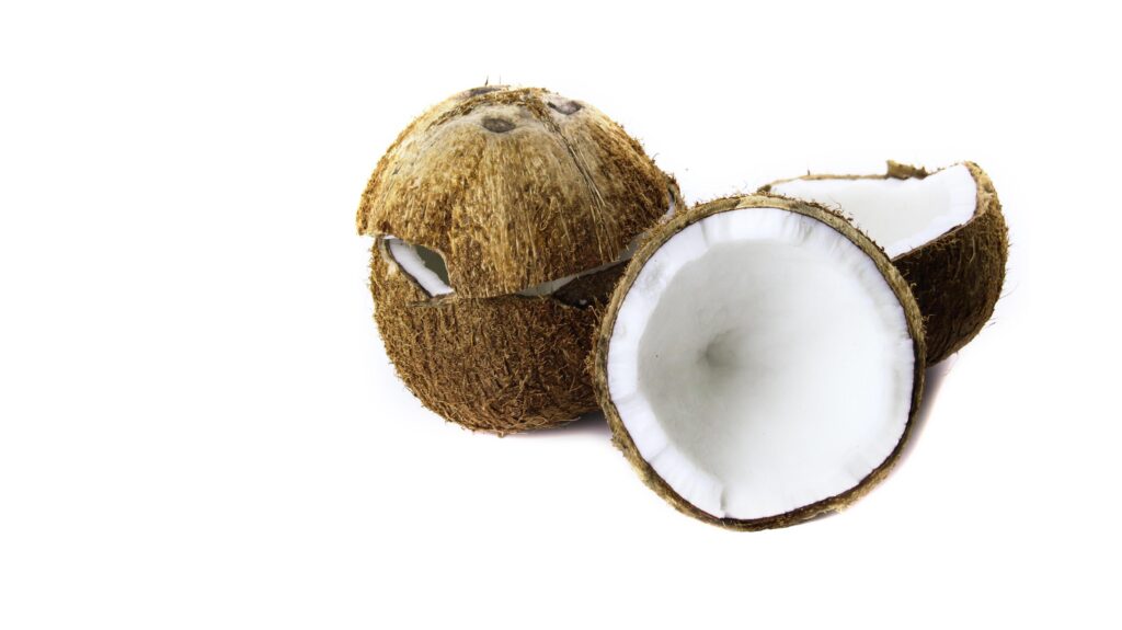 A close-up photograph of a mature and open coconuts isolated on a white background. Stock Free