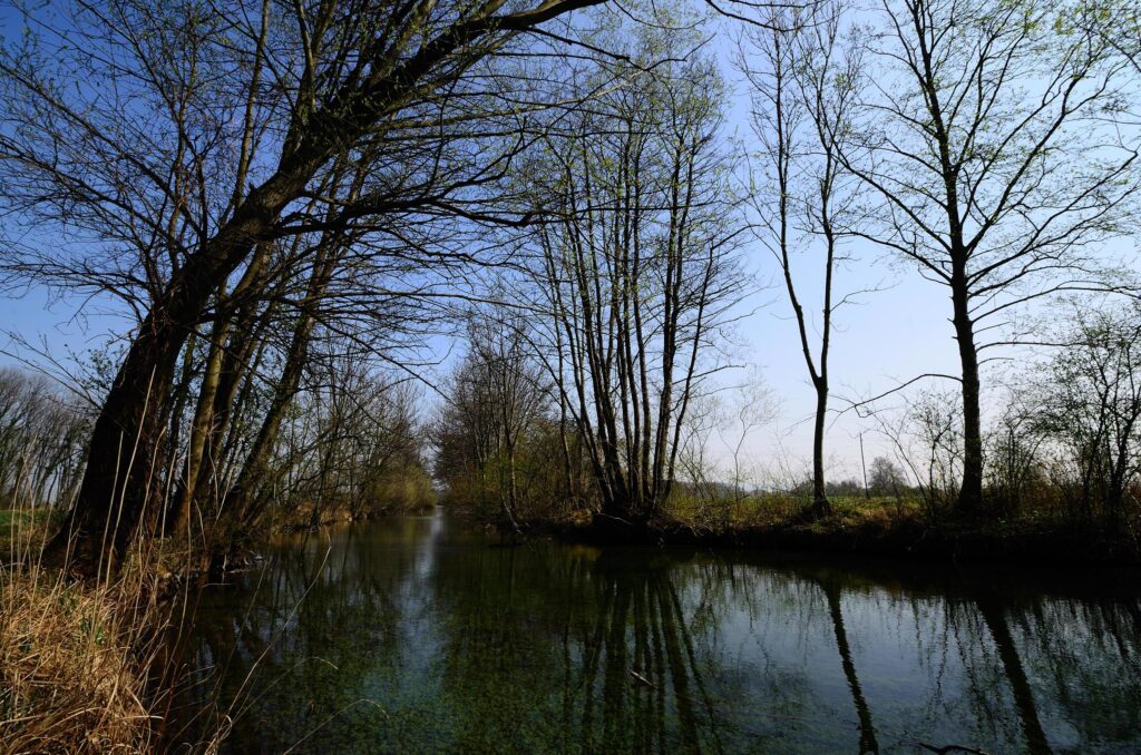 river landscape in the nature Stock Free