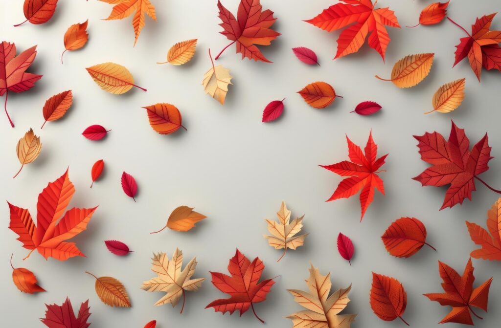 Autumn Leaf Arrangement on White Background Stock Free