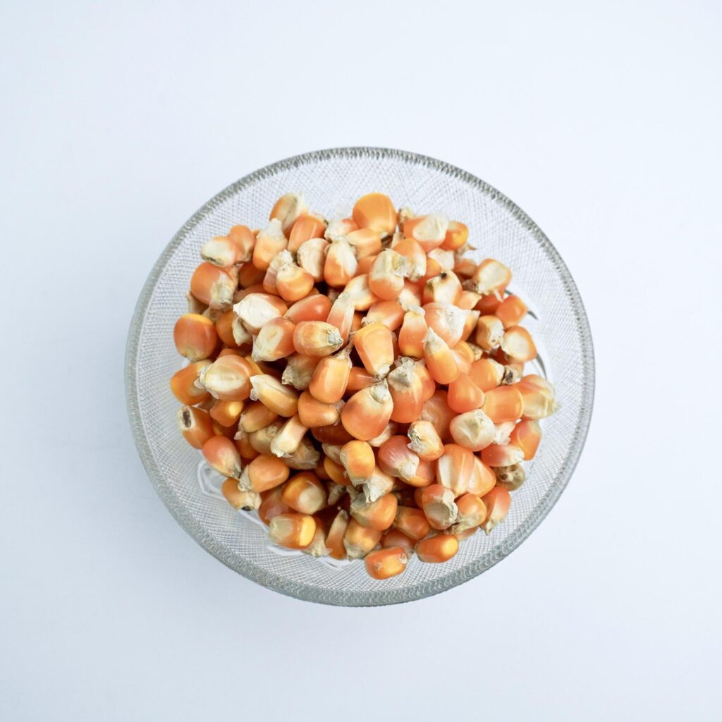 Groups of dry yellow corns in glass bowl food ingredients photography isolated on above top angle view horizontal ratio white background. Stock Free