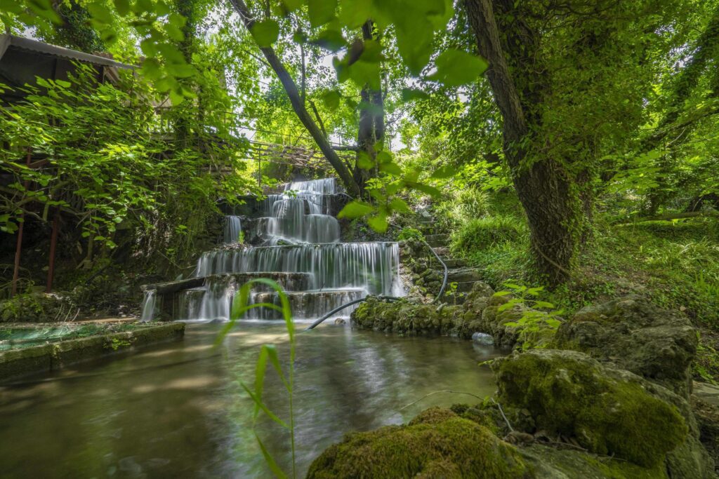 Mountain river stream waterfall green forest Landscape nature plant tree rainforest jungle Stock Free