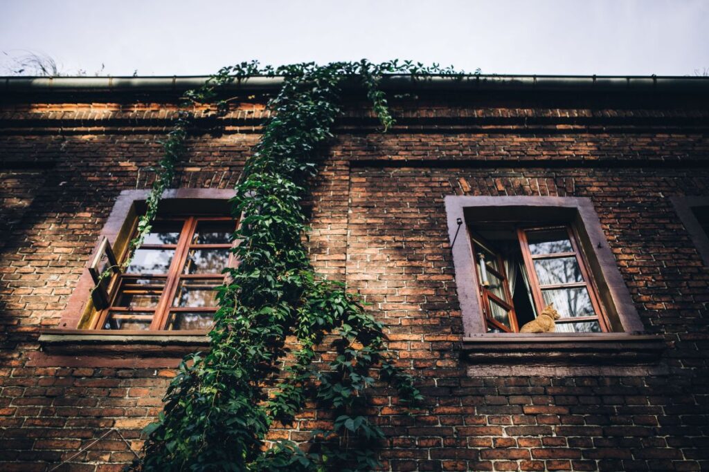 Old bricks buildings in Lodz, Poland Stock Free