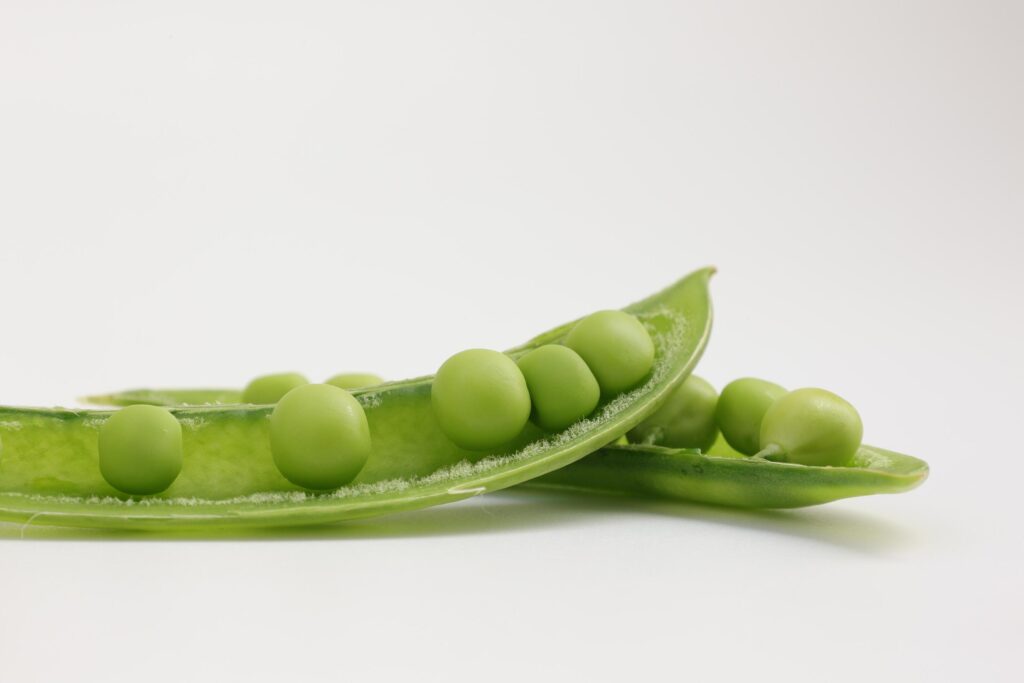 Pea on white background Stock Free