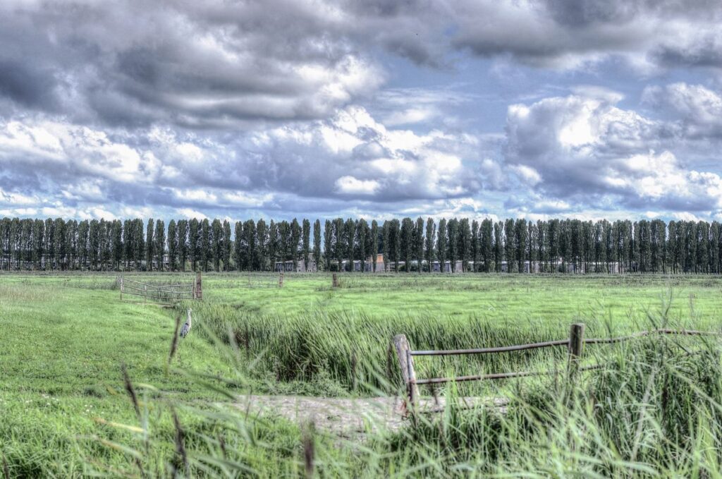 Dutch landscape Stock Free