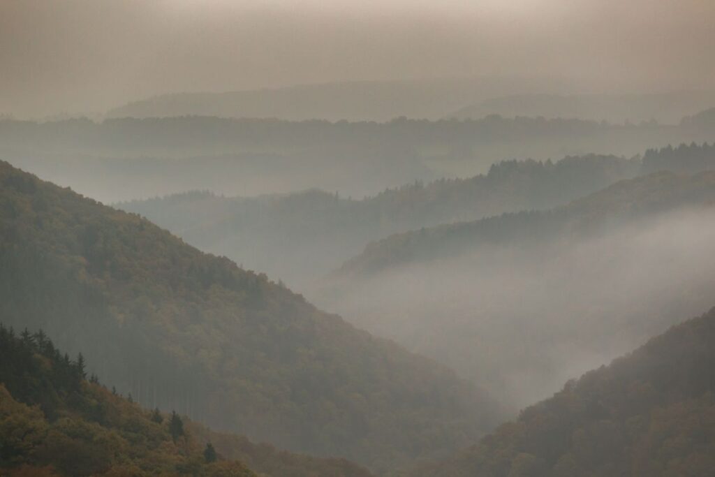 Foggy landscape Stock Free