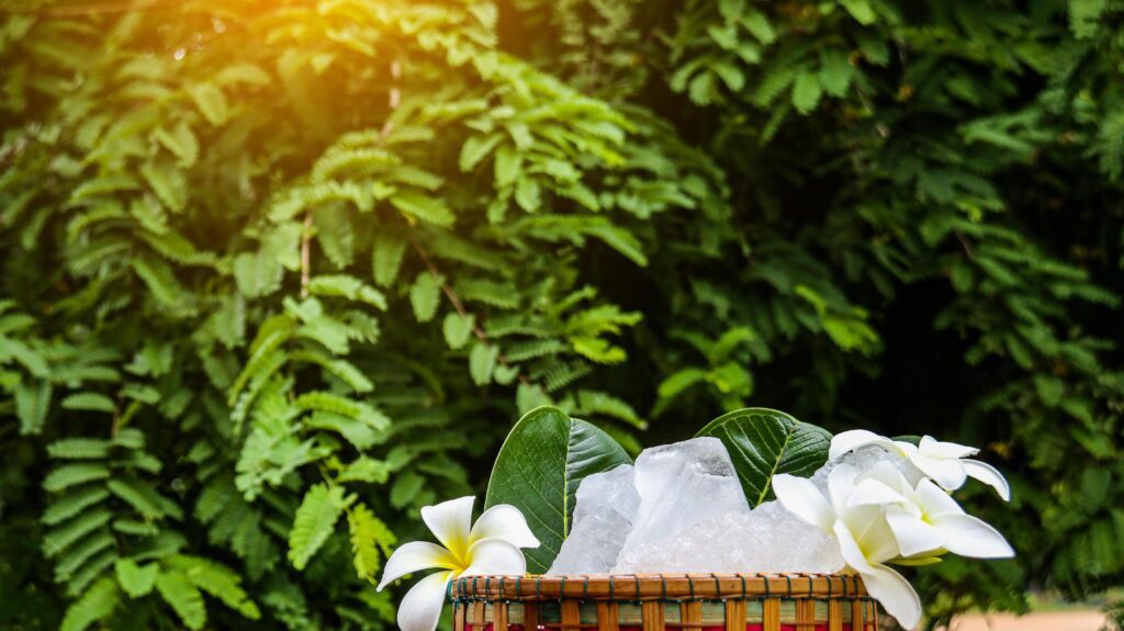 A basket filled with white alum crystals sits on a vibrant green shrub background. Stock Free