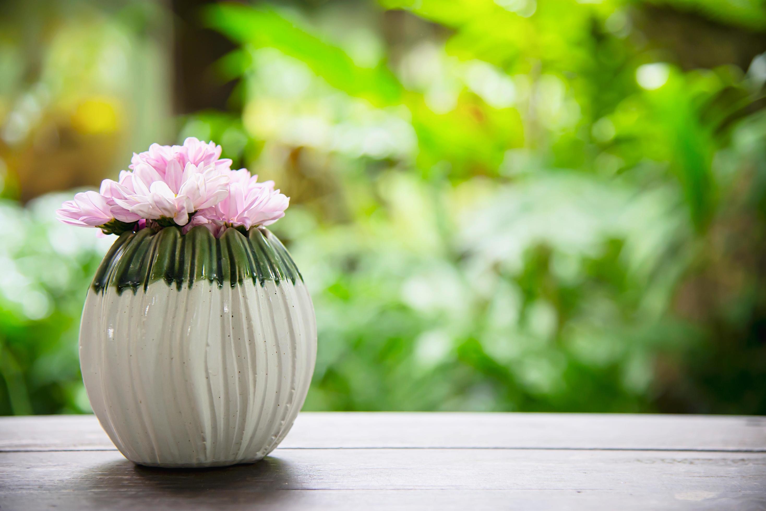Fresh colorful flower in a small ceramic pot – colorful flower decoration pot for background use concept Stock Free