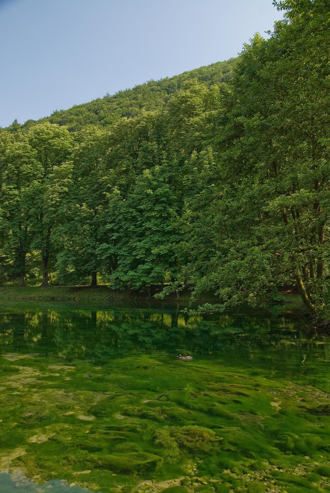 lake in pure nature Stock Free